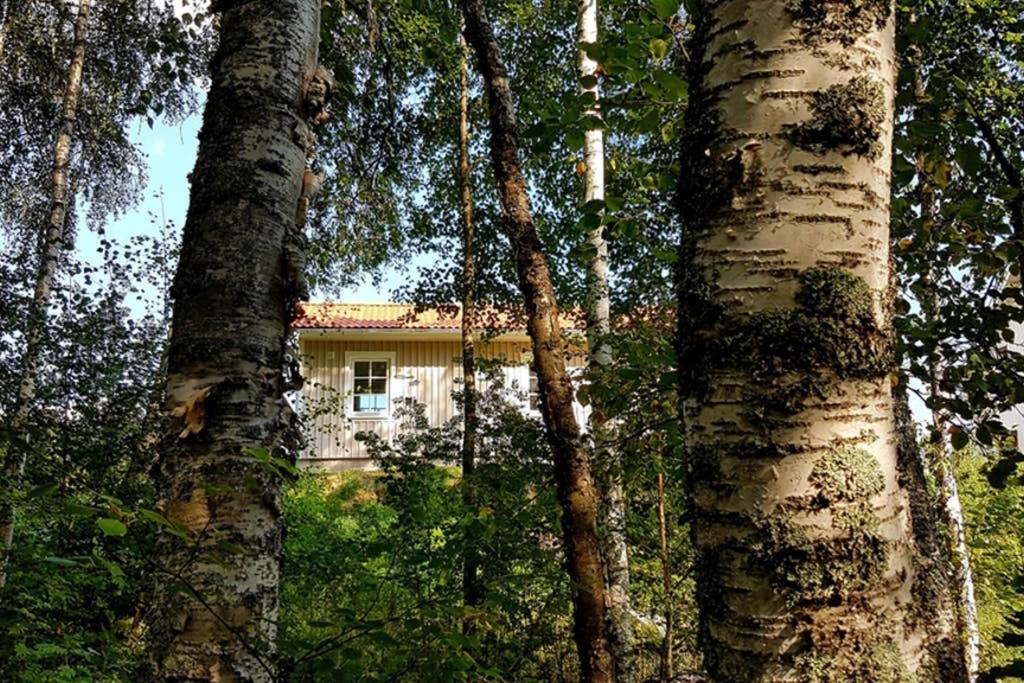 Nybyggd Stuga Intill Skogsbrynet - New Built Cottage Next To The Cowberry Forest Mora Dış mekan fotoğraf