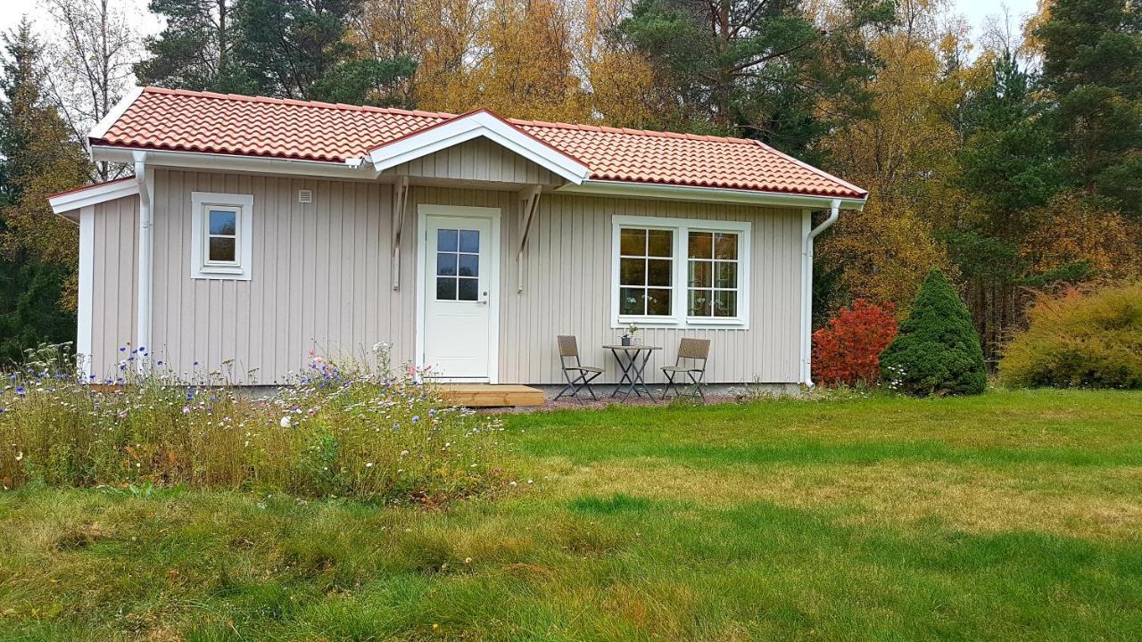 Nybyggd Stuga Intill Skogsbrynet - New Built Cottage Next To The Cowberry Forest Mora Dış mekan fotoğraf